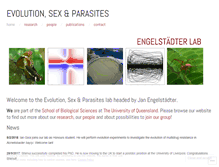Tablet Screenshot of engelstaedterlab.org